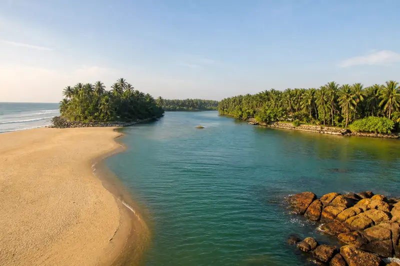 Poovar estuary and coconut palms near Trivandrum