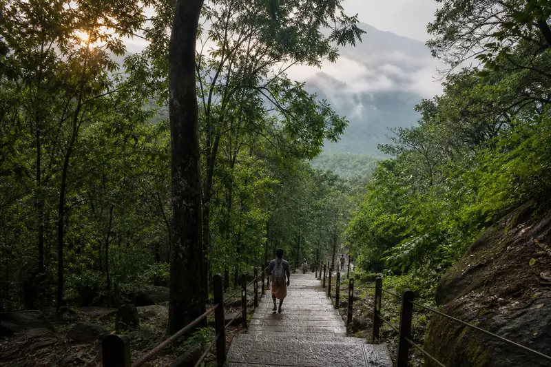 Forest pilgrim path in the Western Ghats towards Sabarimala