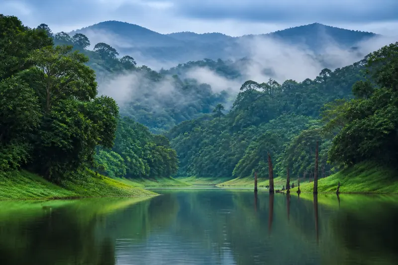 Forest lake in the Thekkady region